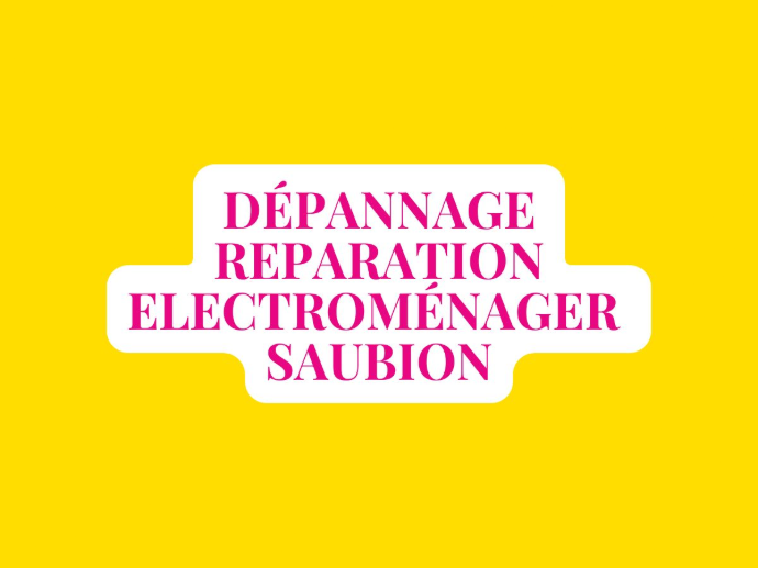 Vignette Dépannage Réparation Électroménager Saubion